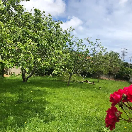 Casa La Pachica Holiday home Aviles